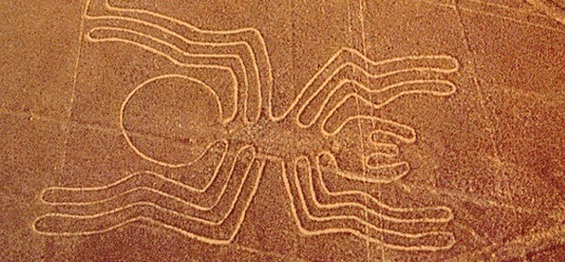 nazca-lines-spider